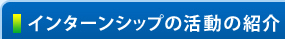 インターンシップの活動の紹介