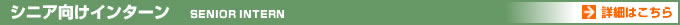 VjAC^[ESENIOR INTERN@ڍׂ͂