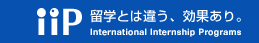 iiP-インターンシップ、留学とは違う、効果あり。 International Internship  Programs